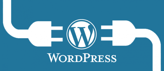 os melhores plugins para wordpress